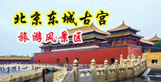 情人大黑BB流水视中国北京-东城古宫旅游风景区